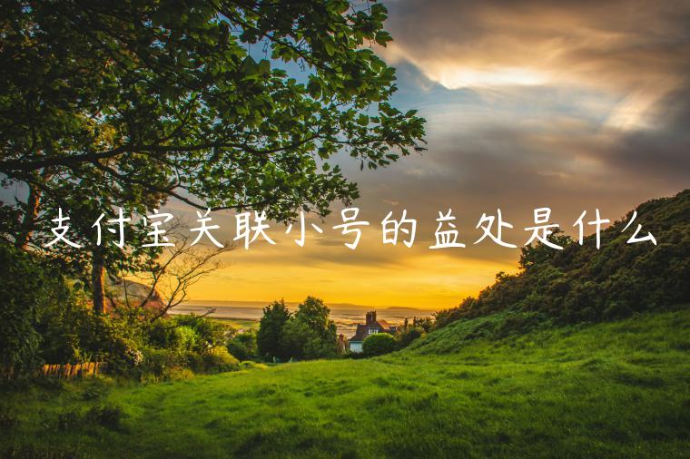 支付寶關(guān)聯(lián)小號的益處是什么